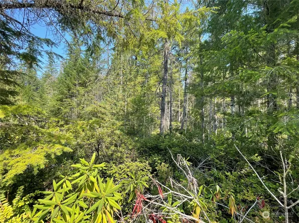 0 NE Blacksmith Drive, Belfair, WA 98528