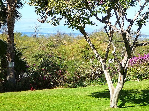 View from Lanai