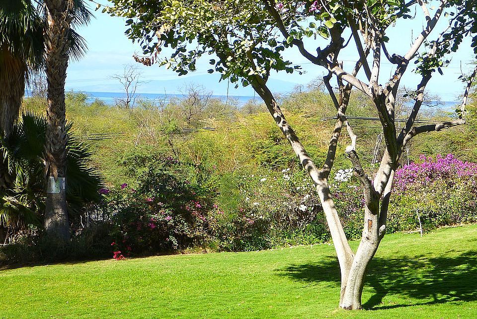 View from Lanai