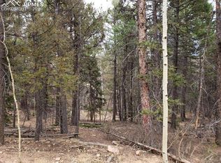 238 Skyline Dr, Woodland Park, CO 80863