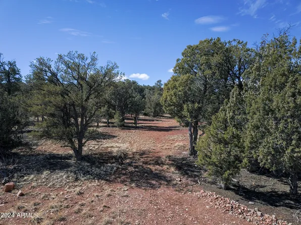 2503 Potrero Parkway #2503, Seligman, AZ 86337