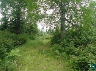 1 Xxx Hwy, Isabella, MN 55607