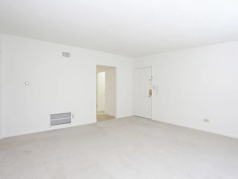 1013 Francis Dr — Photo 15