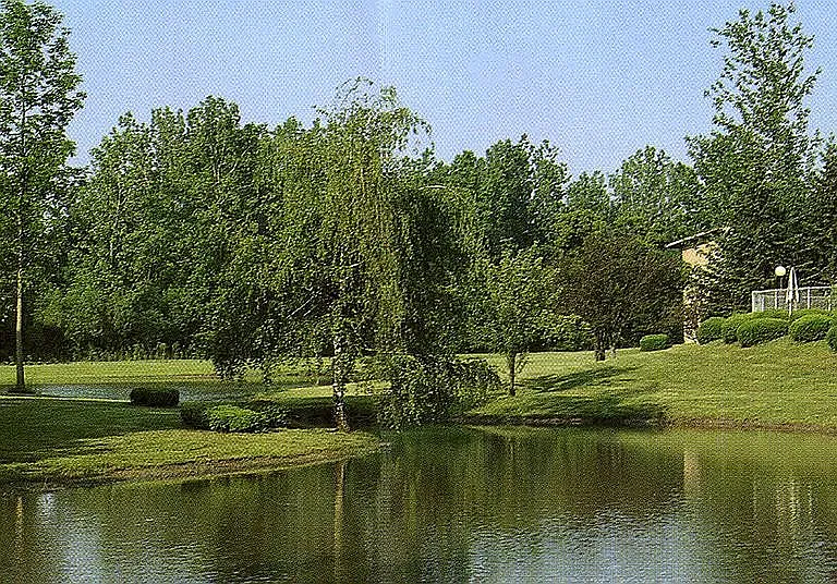 208 Watertree Dr #208 — Photo 23