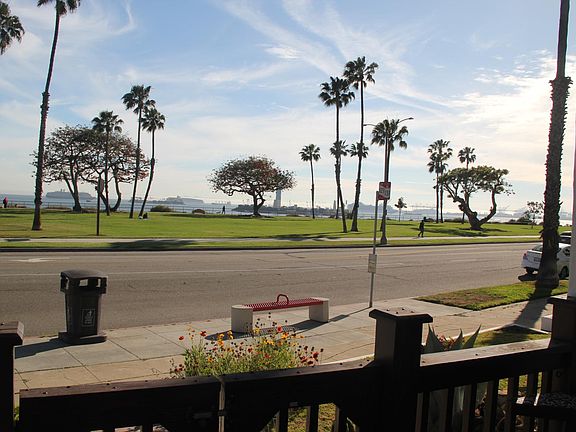 View from the front patio looking South.