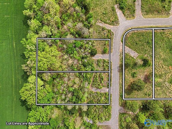3rd image of LOT 8 Trails End Dr