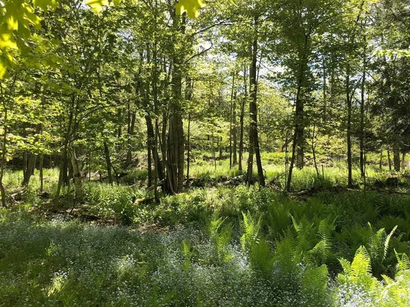 0 Swenson Rd, Washington Island, WI 54246