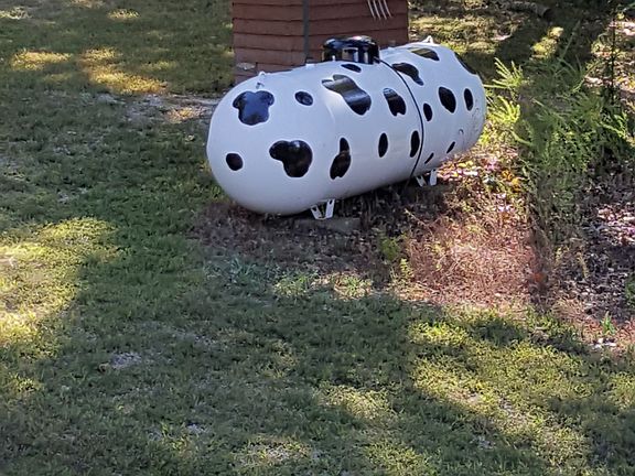5th image of 162 Daffodil Ln