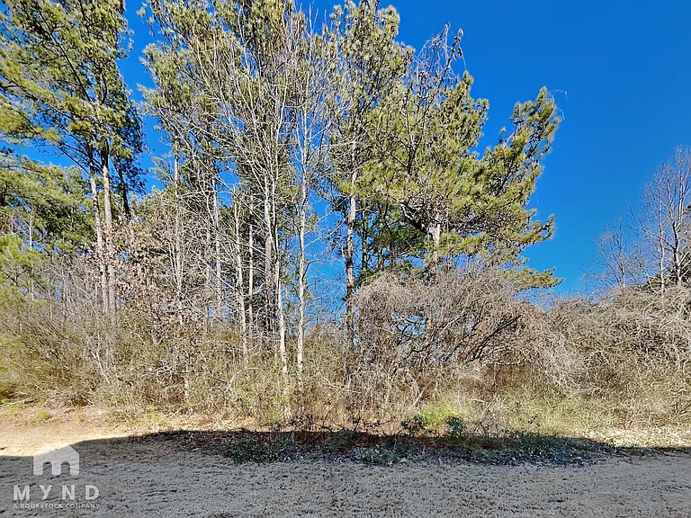 1786 Broad River Rd — Photo 20