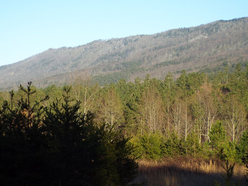 1st image of County Road 875