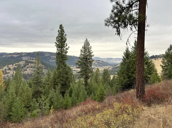 Tbd Old Kettle Falls Rd, Republic, WA 99166