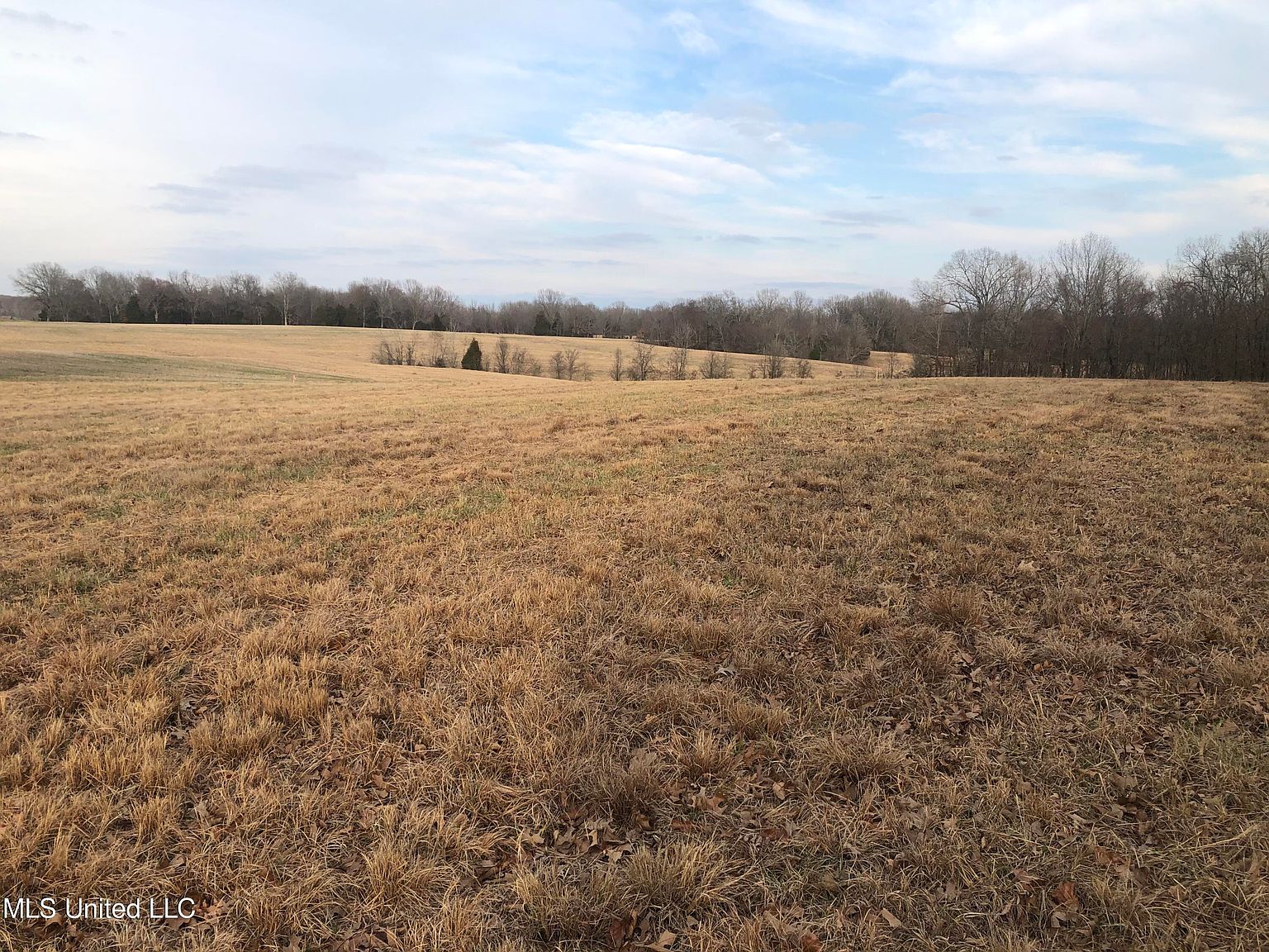 1 Jaybird Rd, Hernando, MS 38632 Zillow