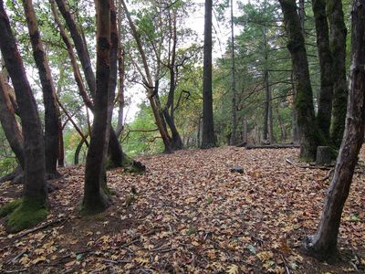 0 Old Vineyard Rd, Los Gatos, CA, 95033
