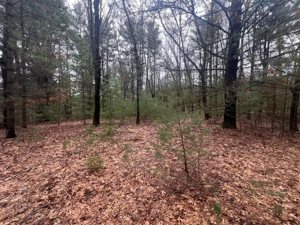 S Atwater St, White Cloud, MI 49349