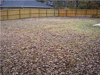 1st image of 3306 Mayberry Landing Dr