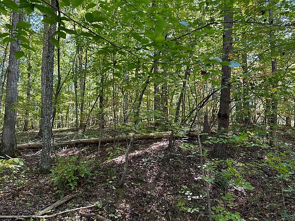 3rd image of 412 Smith Rd Lot 412
