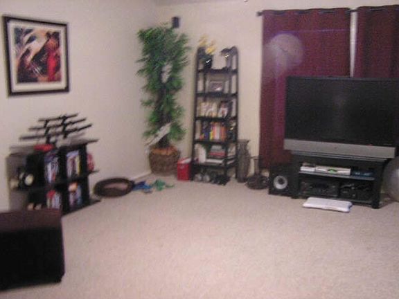 5th image of 1403 Laguna Cv