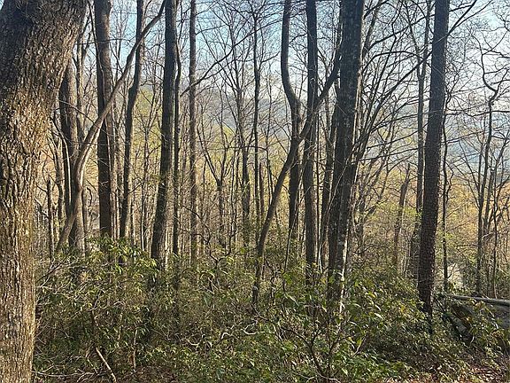 3rd image of 301 Cardinal Rd