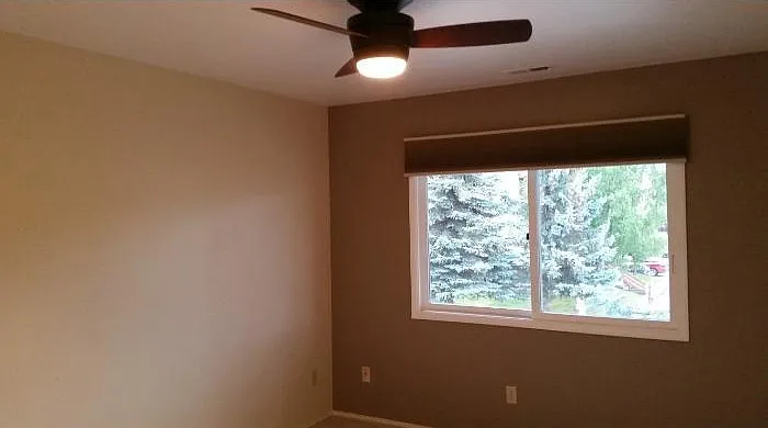 Master Bedroom Accent Wall