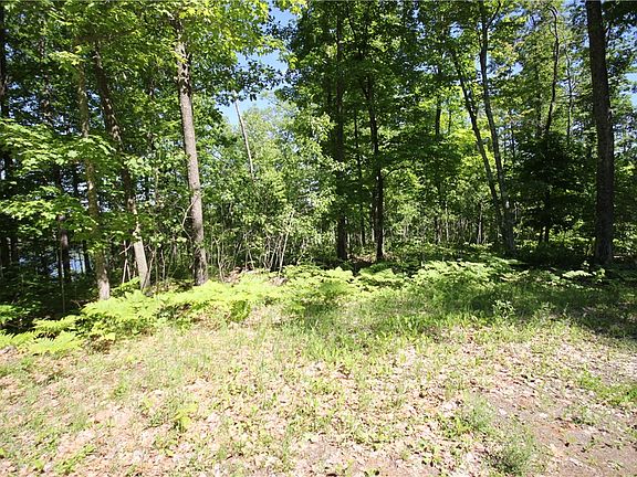 3rd image of Lot 1S Murry Lake Road