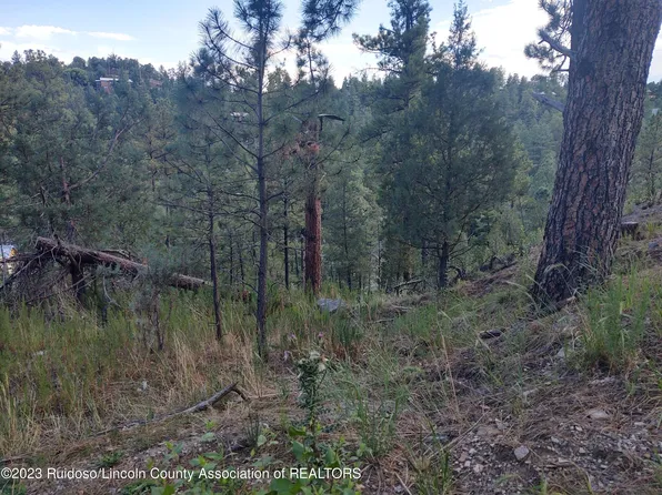 118 S Candlewood Dr, Ruidoso, NM 88345