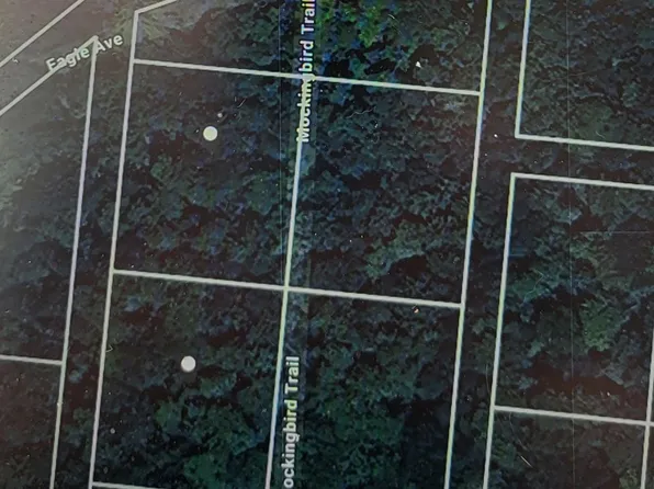 Mockingbird Trail, Bethel, NY 12720