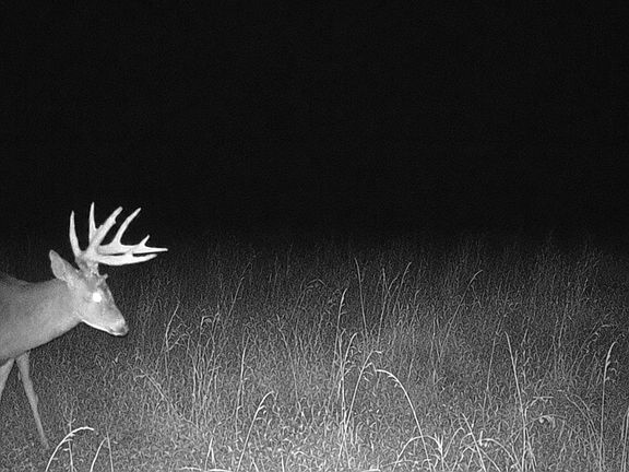 2nd image of 0 Texas Hollow Rd