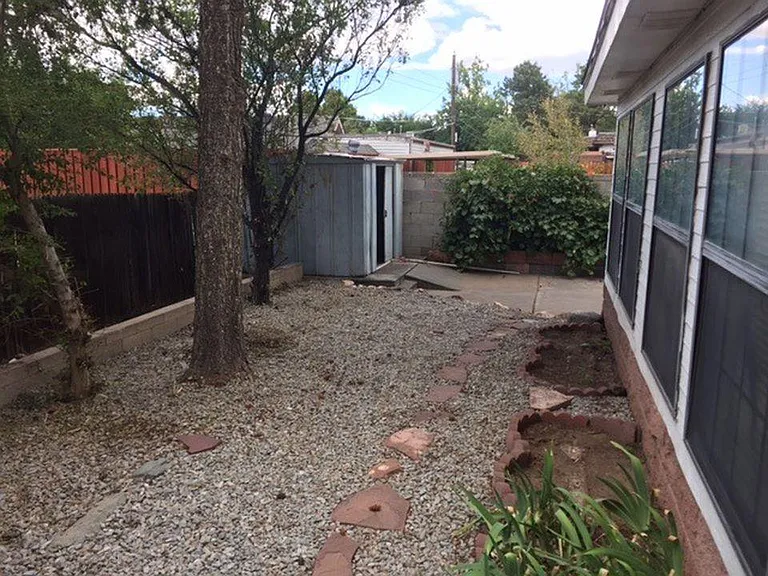 Back yard