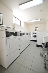 Rented by Bold New York