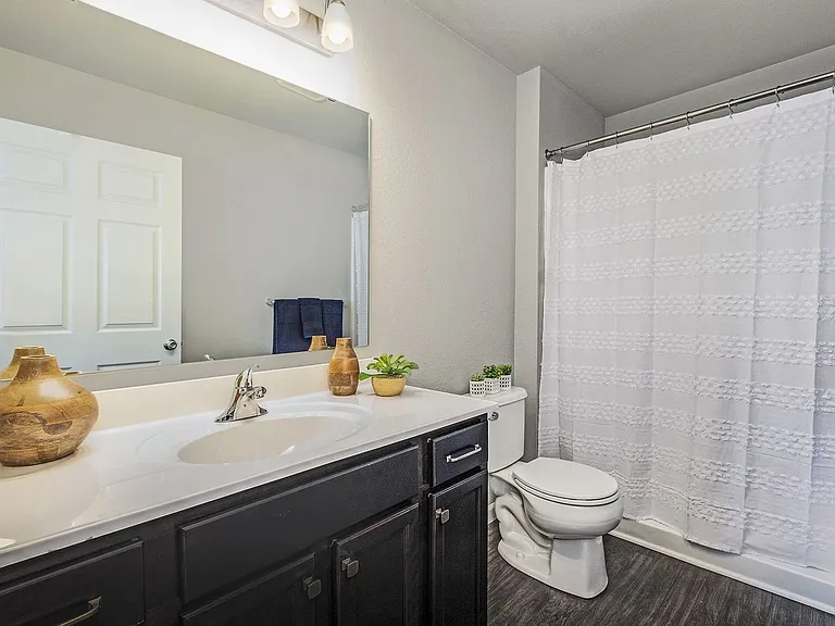 1847 Bluff Ridge Ct — Photo 4
