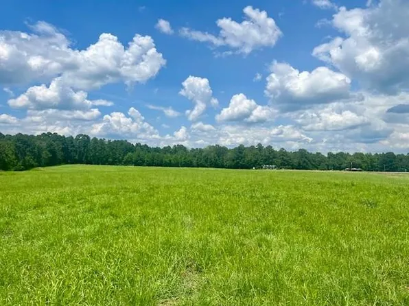 0 Bill Lofton SE, Mc Call Creek, MS 39647