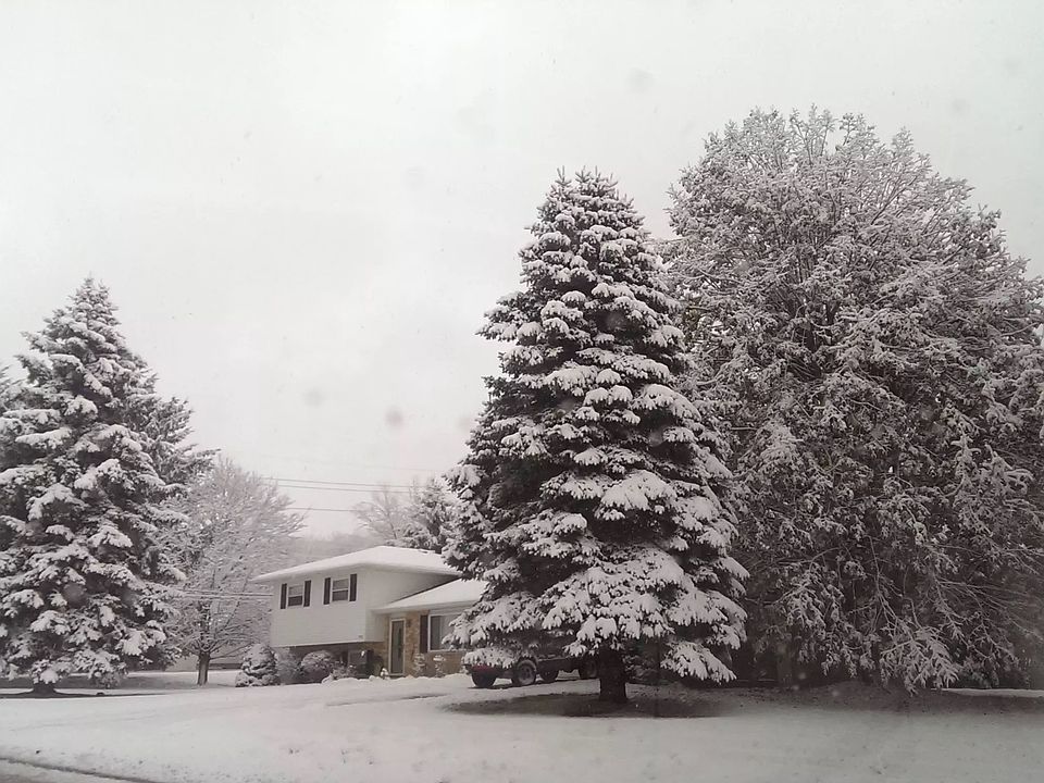 1st image of 5793 Lake Manor Dr