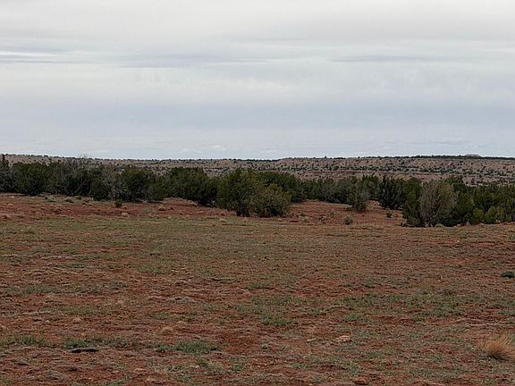 2nd image of N6126 N N6126 -- #20244012