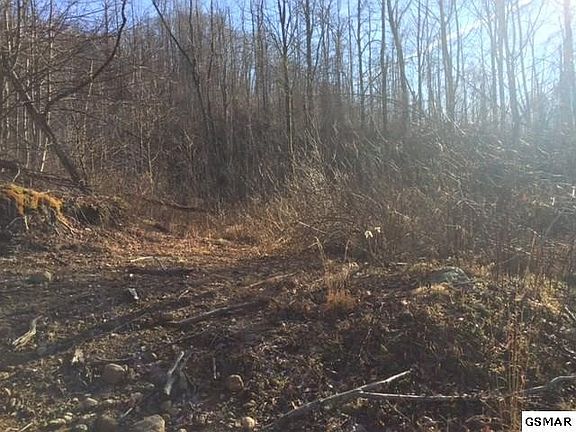 3rd image of 36 Round Mountain Rd