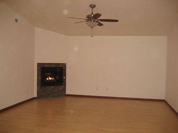 Gas fireplace 