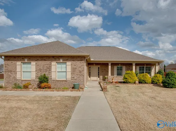 127 Birch Falls Dr, Hazel Green, AL 35750