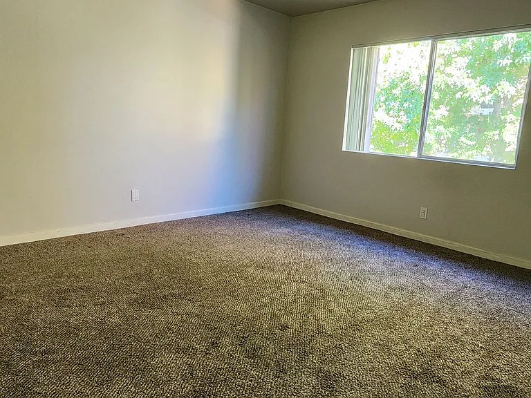 31932 Del Cielo Este — Photo 19