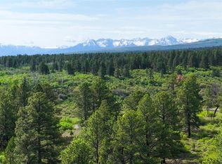 PARCEL 1 Davewood Rd, Montrose, CO 81403