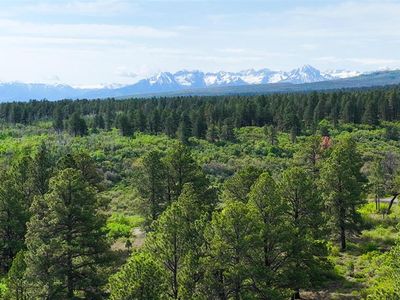 Parcel 1 Davewood Road, Montrose, CO, 81403