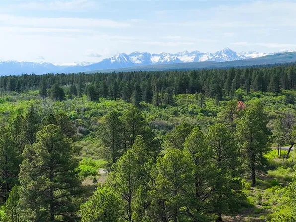 Parcel 1 Davewood Road, Montrose, CO 81403