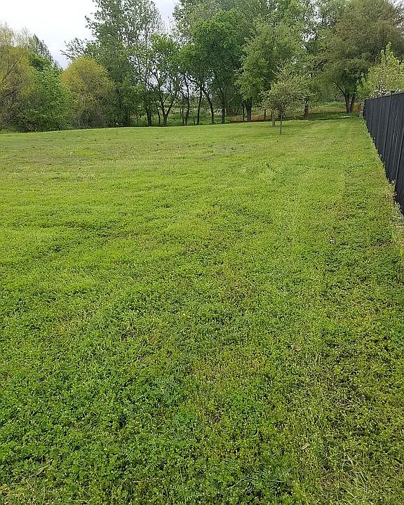 1st image of 1441 Bassett Hound Dr