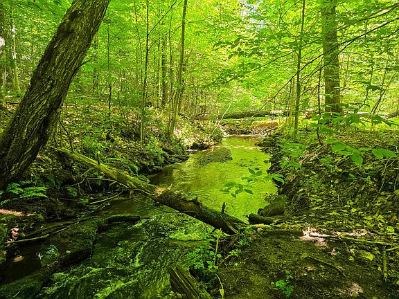 2nd image of 1905 Camp Munn Road