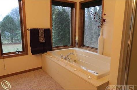 Master Jet Tub &  Shower.JPG