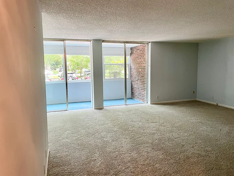 101 S Hanover Ave #1B — Photo 10