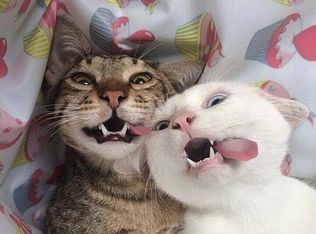 105 Marquette Dr SW, Poplar Grove, IL 61065