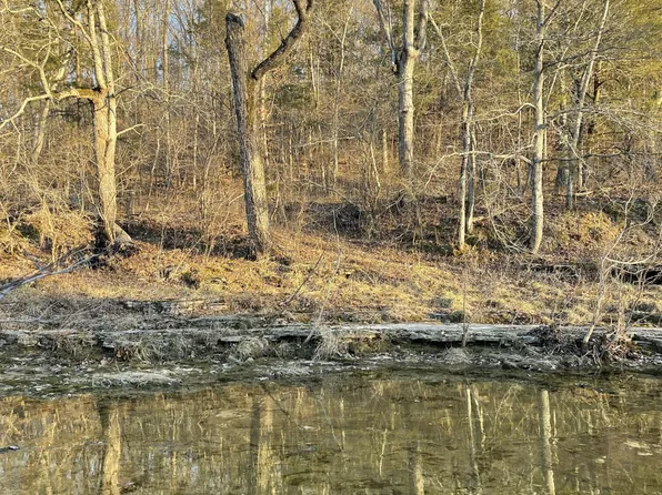 Tract 2 County Road 14-534, Ava, MO 65608