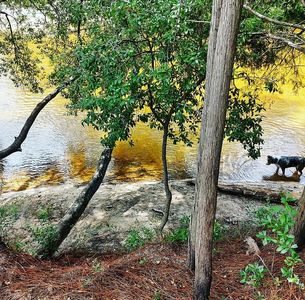 1645 Christmas Tree Rd, Milton, FL, 32570