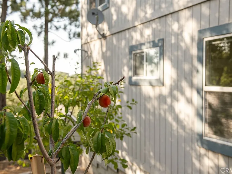 1477 Sequoia Dr — Photo 21