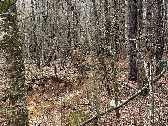 5th image of 0 Old Fayetteville Rd