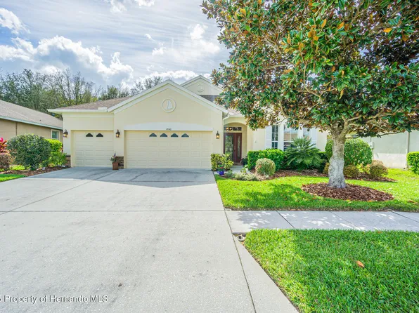 19140 Sunset Bay Dr, Land O Lakes, FL 34638